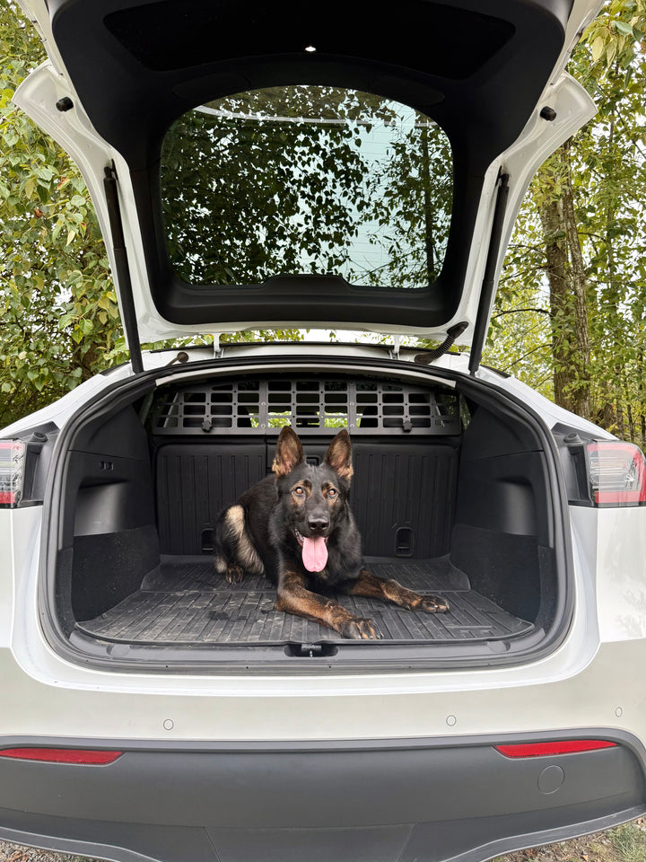 Black German Shepherd lying in the cargo area of a white Tesla Model Y with an installed BPF Molle Style Pet Barrier Tesla Model Y 2020-CURRENT securing the pet space safely.