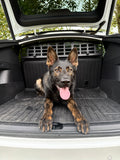 BPF Molle Style Pet Barrier Tesla Model Y 2020-CURRENT - Bullet Proof Fabricating